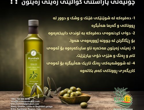 چۆنیەتی پارستنی کوالتی زەیتی زەیتون؟