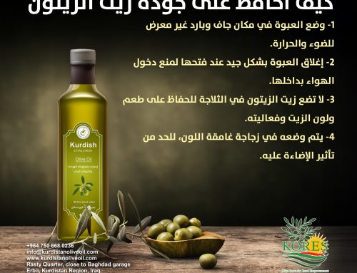 كيف أحافظ على جودة زيت الزيتون