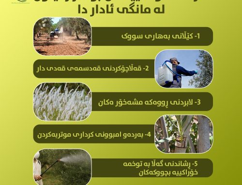 کارە کستوکاڵییەکان بۆ دار زەیتون لە مانگی ئادار دا