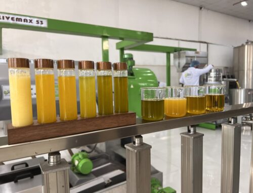 إرشادات لإنتاج زيت زيتون كردي عالي الجودة