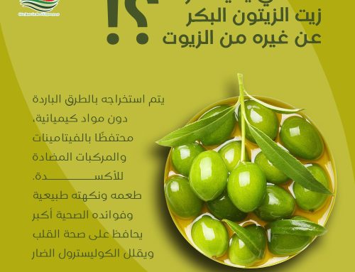 ما الذي يميز الزيتون البكر عن غيره من الزيوت؟