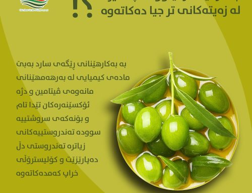 چی زەیتی زەیتوونی پاکیزە لە زەیتەکانی تر جیا دەکاتەوە
