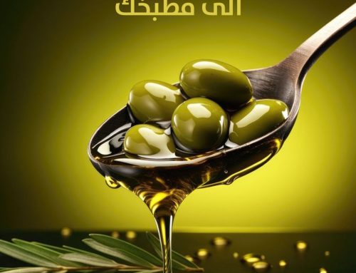 زيت الزيتون الكردي من قلب الطبيعة الى مطبخك