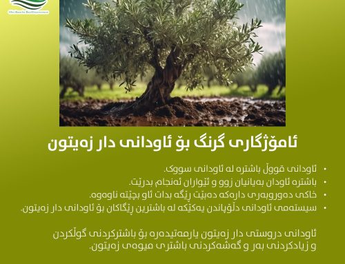ئامۆژگاری گرنگ بۆ ئاودانی دار زەیتوون
