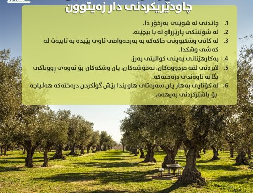 ئامۆژگاری گشتی بۆ چاودێریکردنی دار زەیتوون